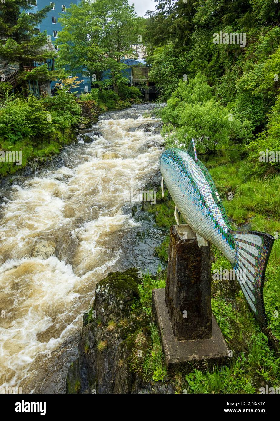 Salmon above the fast running creek in the town of Ketchikan Alaska Stock Photo