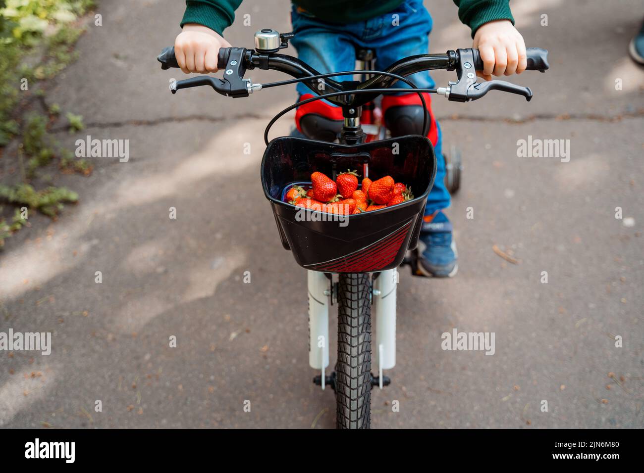 a boy on a bicycle carries strawberries in a basket Stock Photo