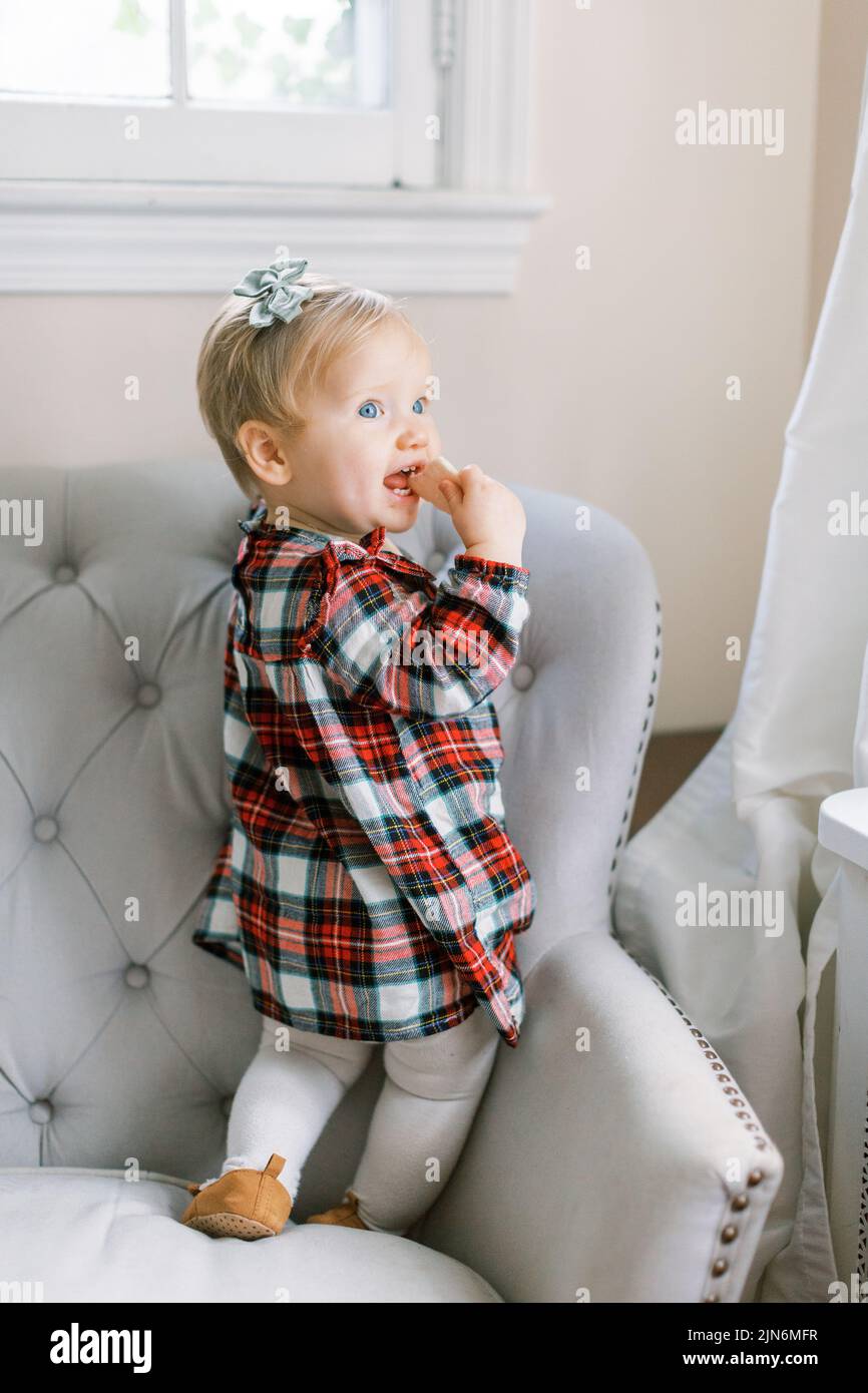 Baby girl stands on gray chair and looks back eating cookie Stock Photo