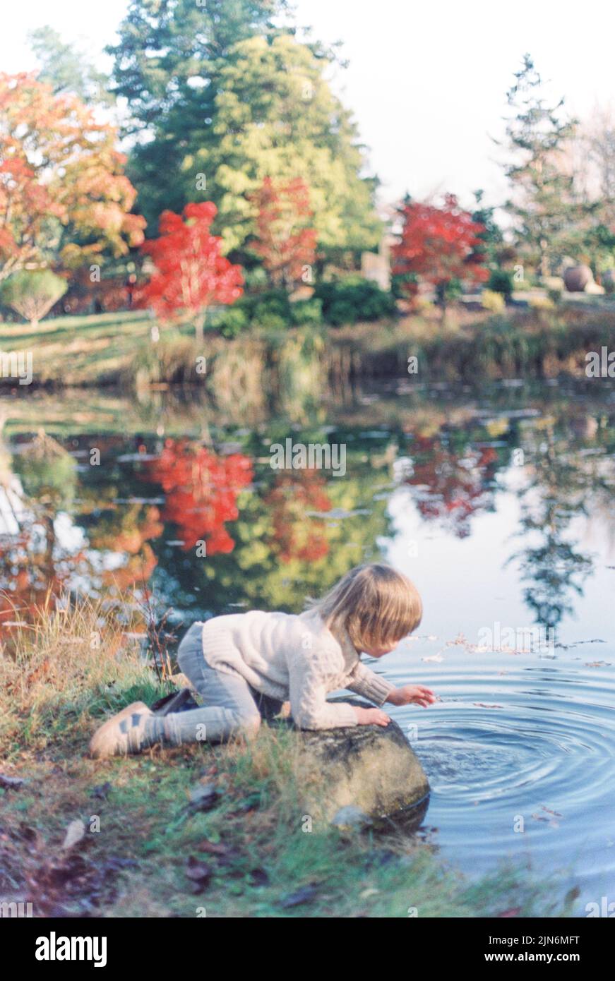 Toddler boy leans over rock to look in pond in autumn Stock Photo