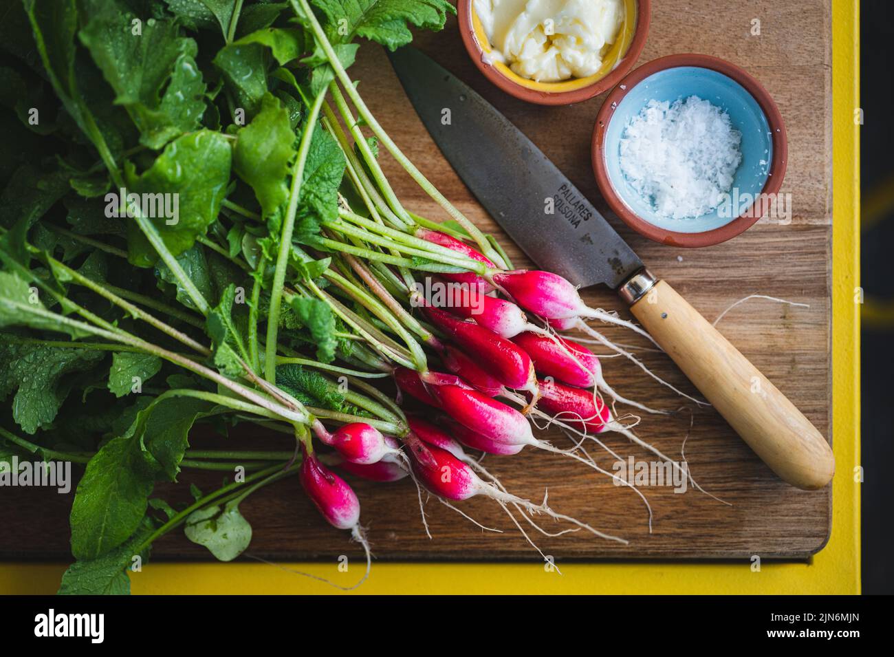 French Breakfast Radishes with Butter and Salt Stock Photo