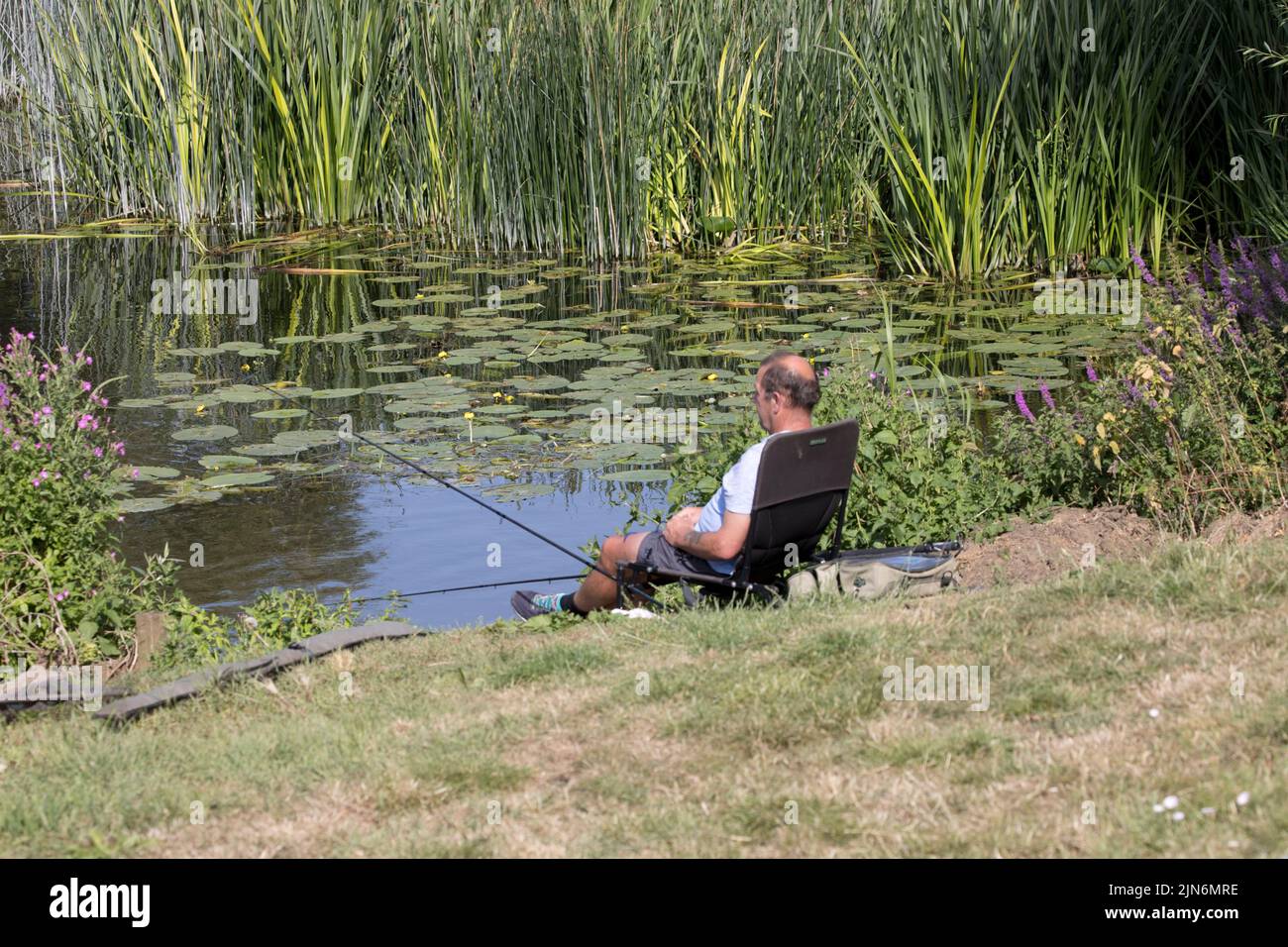 FIsherman with rod and line relaxing by lil;y-covered inlet on River Avon Weston on Avon UK Stock Photo