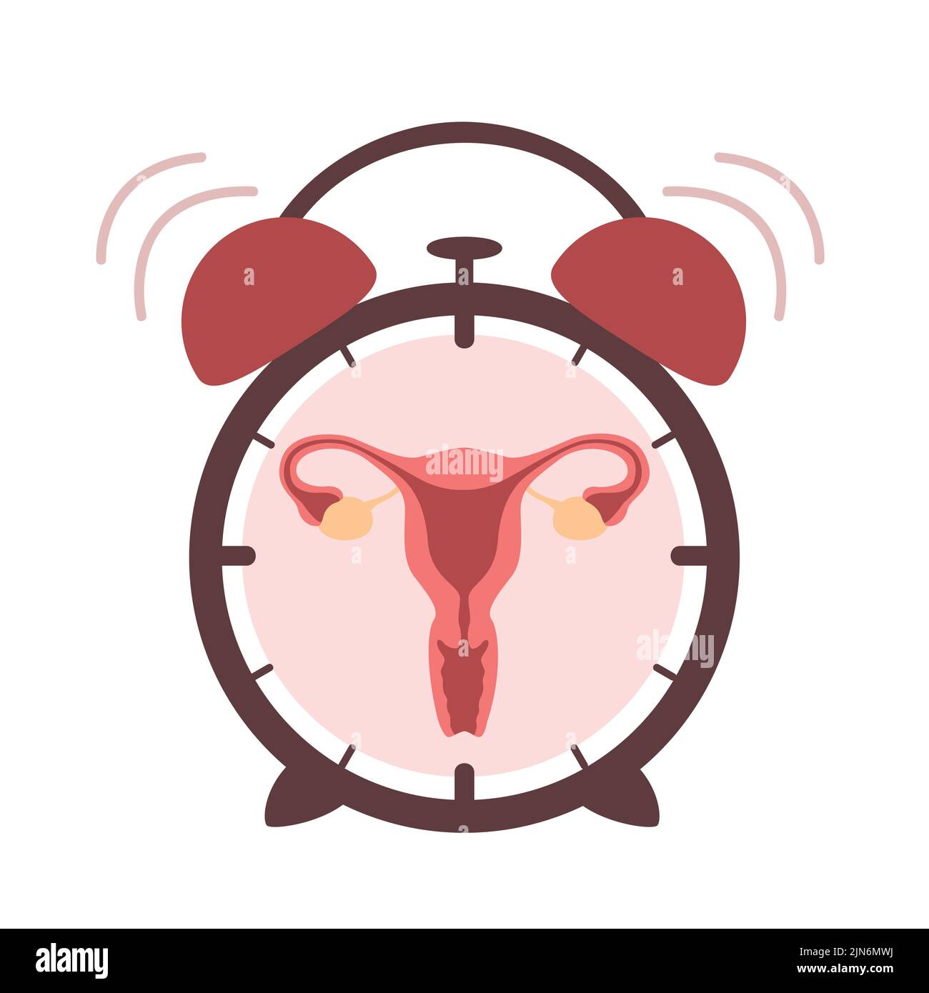 female reproductive system women uterus in the ringing alarm clock Stock Vector
