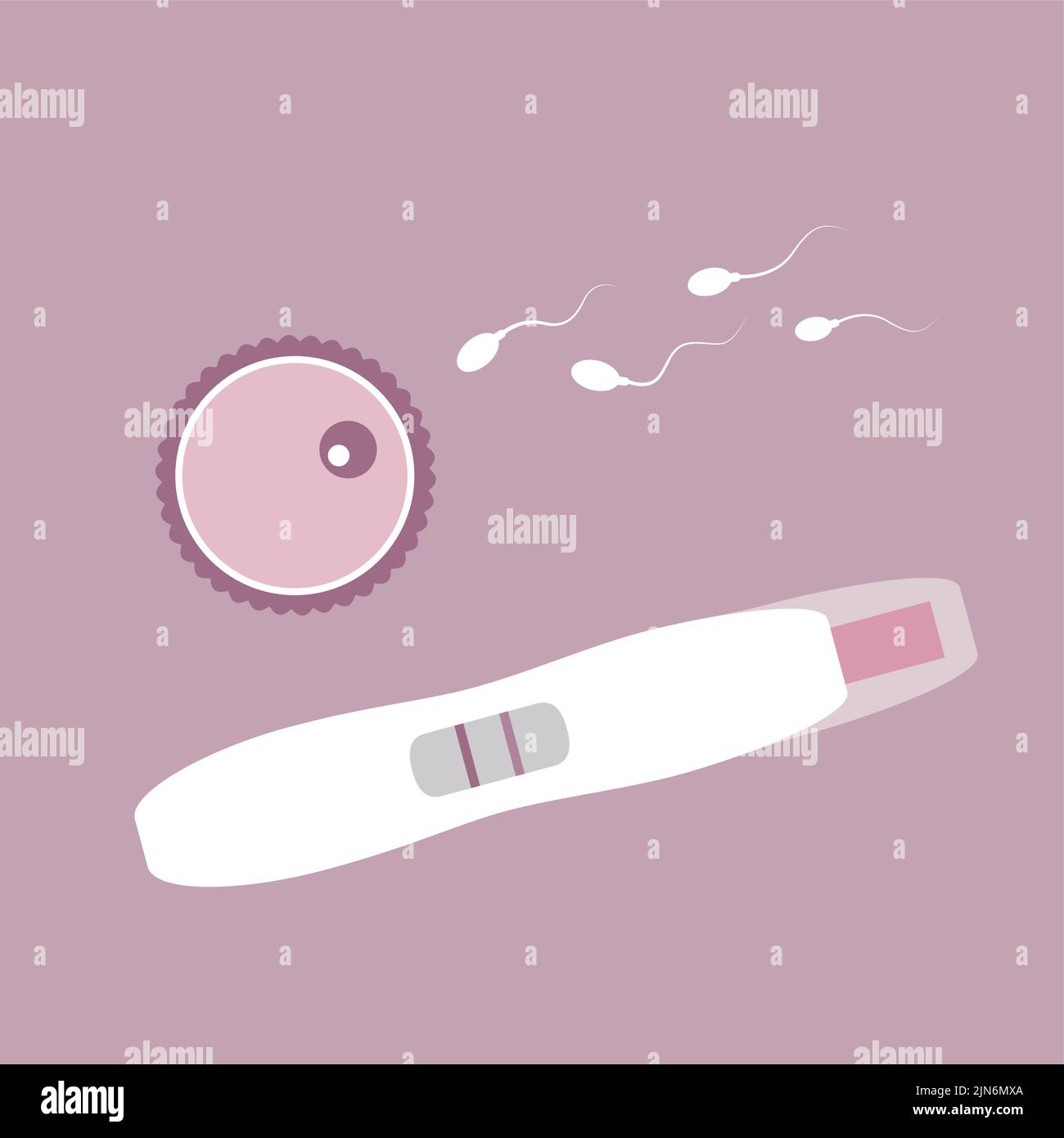 positive pregnancy test fertilized ovum and sperm Stock Vector