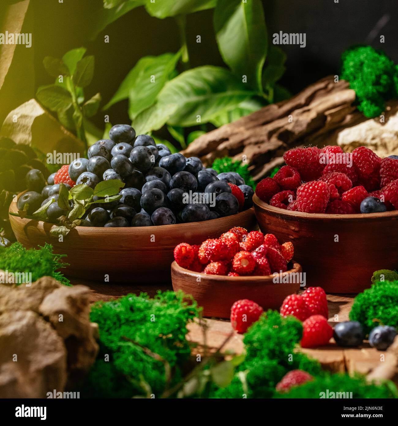 wild berries in a clay plate in a forest clearing. Stock Photo