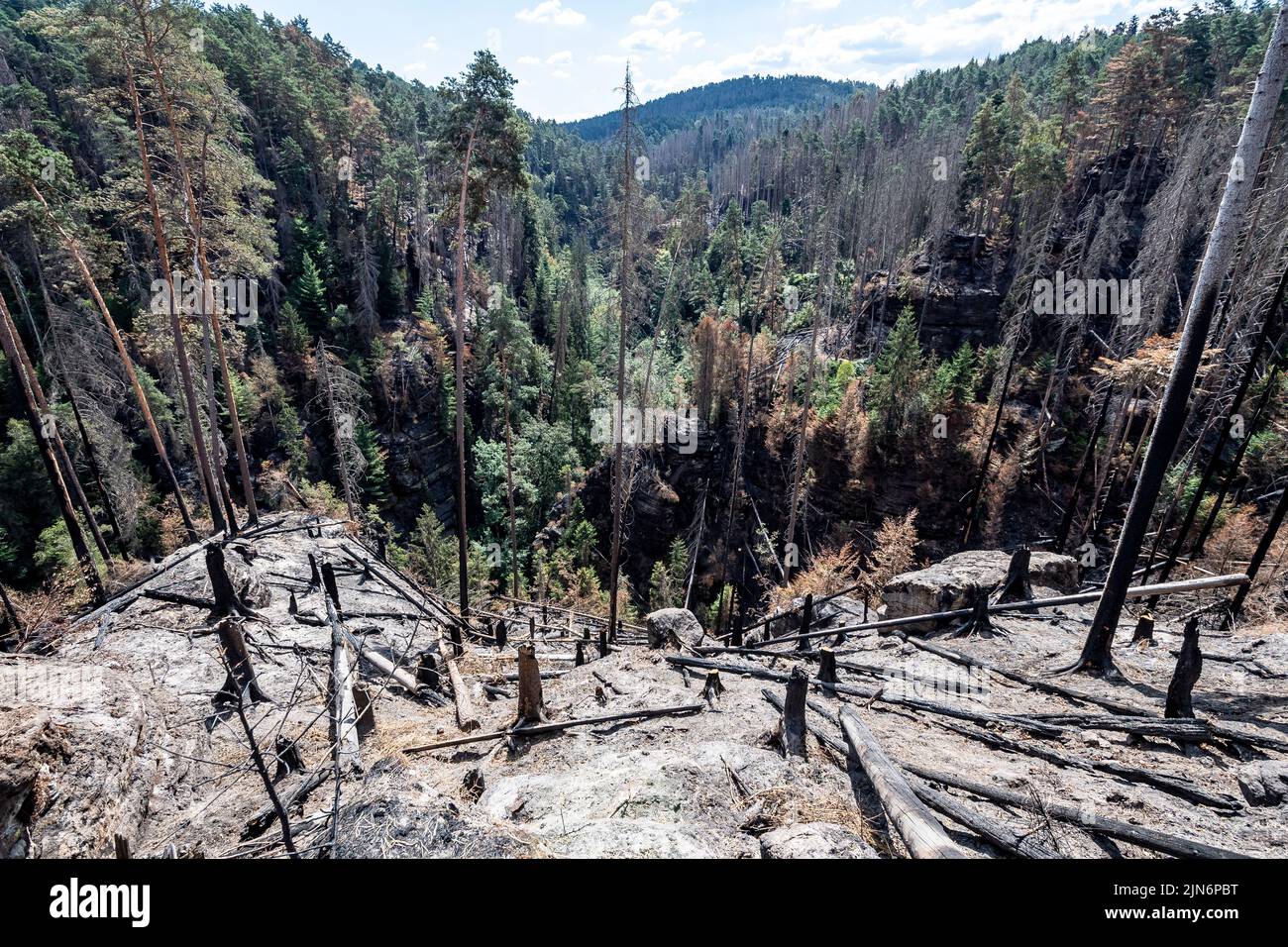 Hrensko, Czech Republic. 09th Aug, 2022. The burnt forests in the Ceske Svycarsko (Czech Switzerland) National Park, Czech Republic, August 9, 2022. On the photo there is the Long Mine above the Edmund (Silent) Gorge, where he is guarding part of the first area handed over by the firefighters to the park administration after the firefighting is finished. Credit: Ondrej Hajek/CTK Photo/Alamy Live News Stock Photo