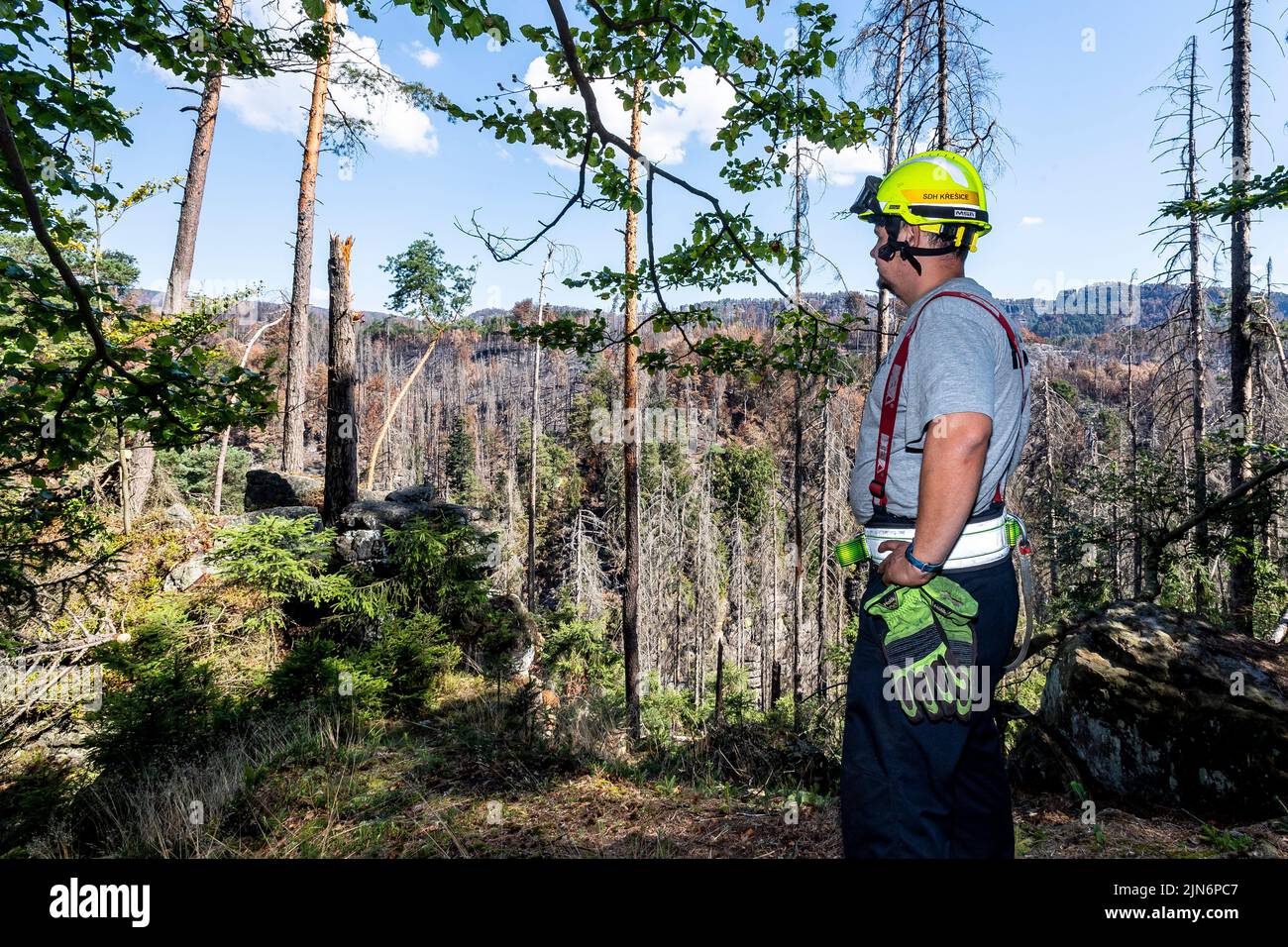 Hrensko, Czech Republic. 09th Aug, 2022. The burnt forests in the Ceske Svycarsko (Czech Switzerland) National Park, Czech Republic, August 9, 2022. A volunteer firefighter from Kresice in the Decin region walks through the Sandy Ravine above the Edmund (Silent) Gorge, where he is guarding part of the first area handed over by the firefighters to the park administration after the firefighting is finished. Credit: Ondrej Hajek/CTK Photo/Alamy Live News Stock Photo