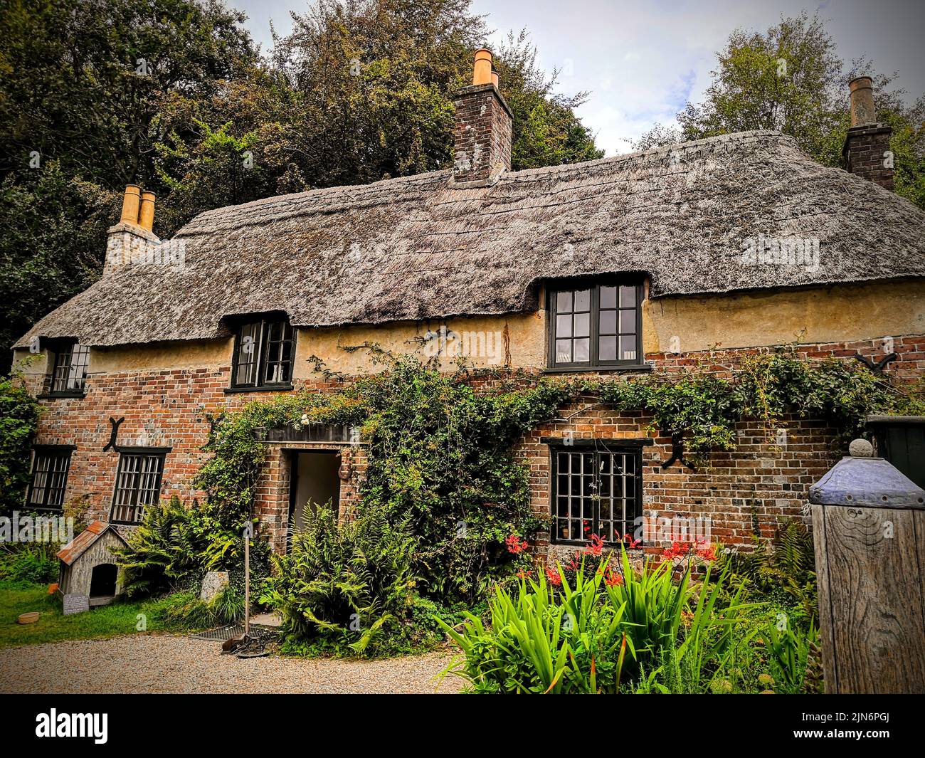 A beautiful view of Hardy's Cottage with green plants and trees Stock Photo