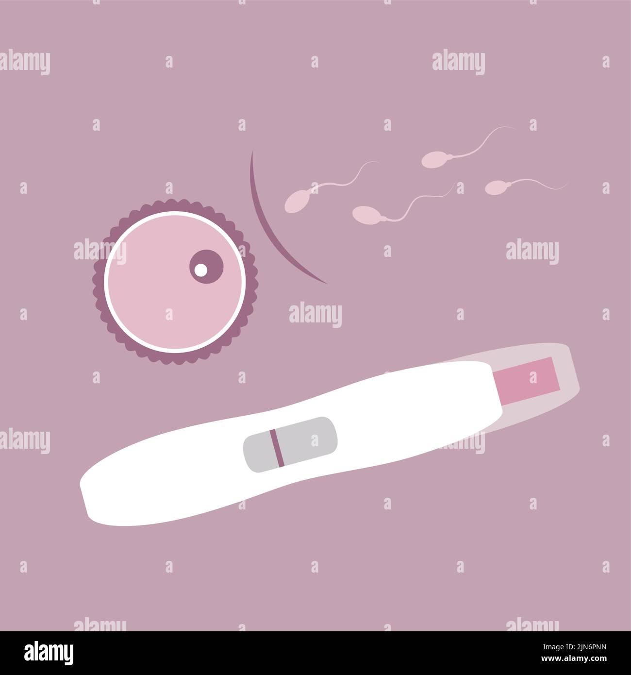 negative pregnancy test contraception ovum and sperm Stock Vector