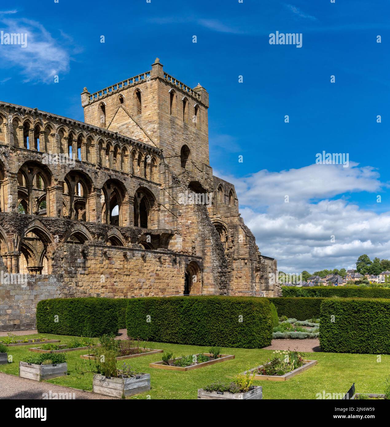 Jedburgh, United Kingdom - 18 June, 2022: view of the Augustinian Jedburgh Abbey ruins Stock Photo