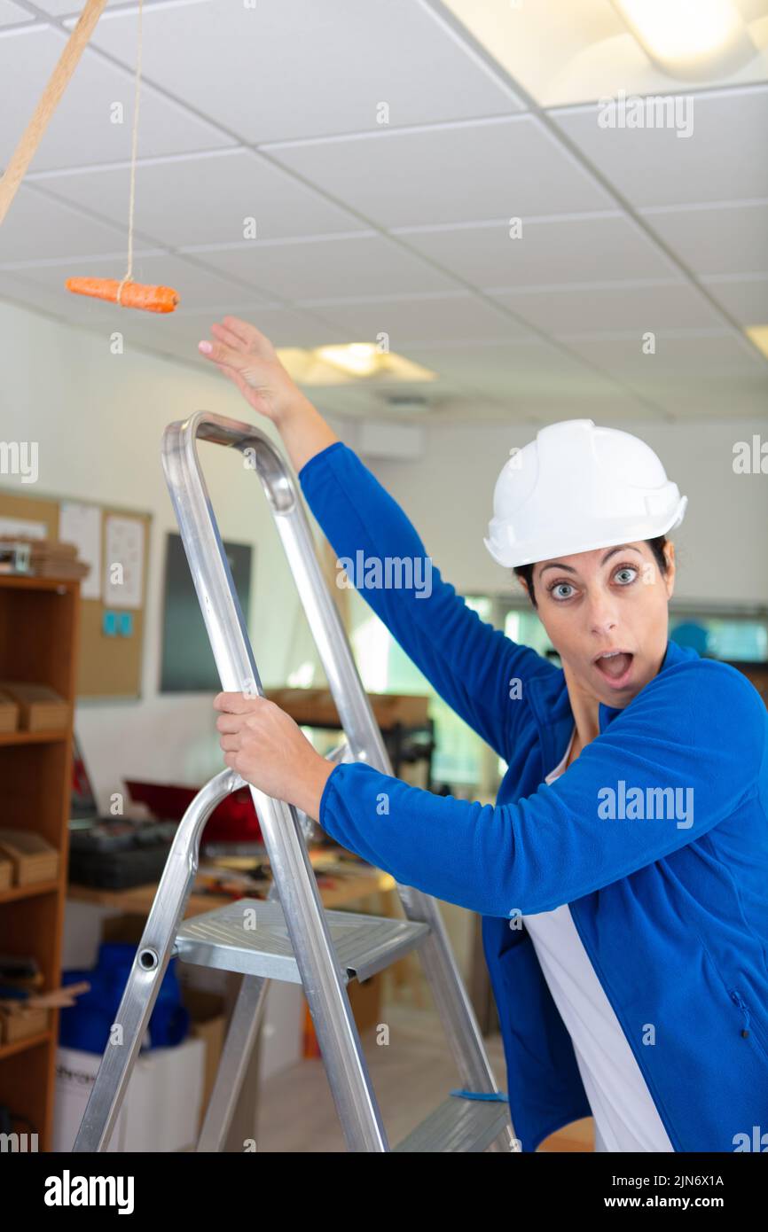 female builder surprised by hanging carrot Stock Photo