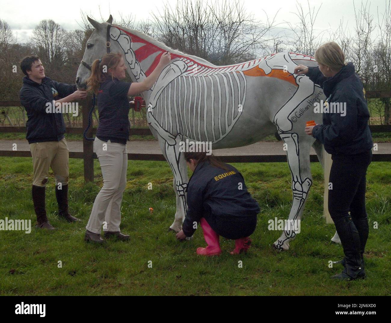 GILLIAN HIGGINS 2ND LEFT AND STUDENTS AT SPARSHOLT COLLEGE HAMPSHIRE