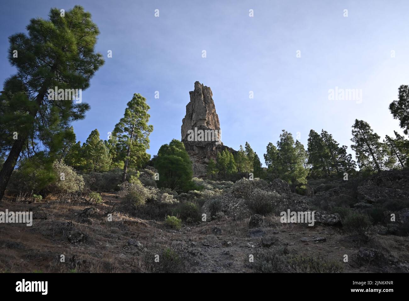 View Over Trees Trees in the Mountains with beautiful view over Stock Photo - Alamy