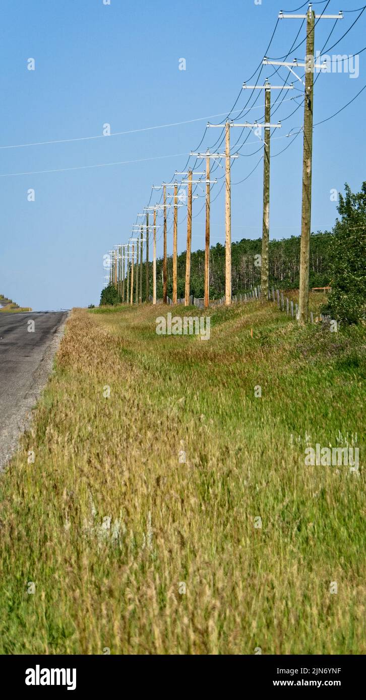 power lines Alberta Stock Photo Alamy