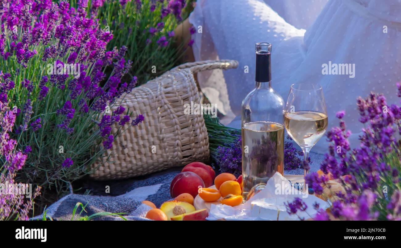 A bottle of wine on a background of a lavender field. Glasses with wine, fruits. selective focus Stock Photo