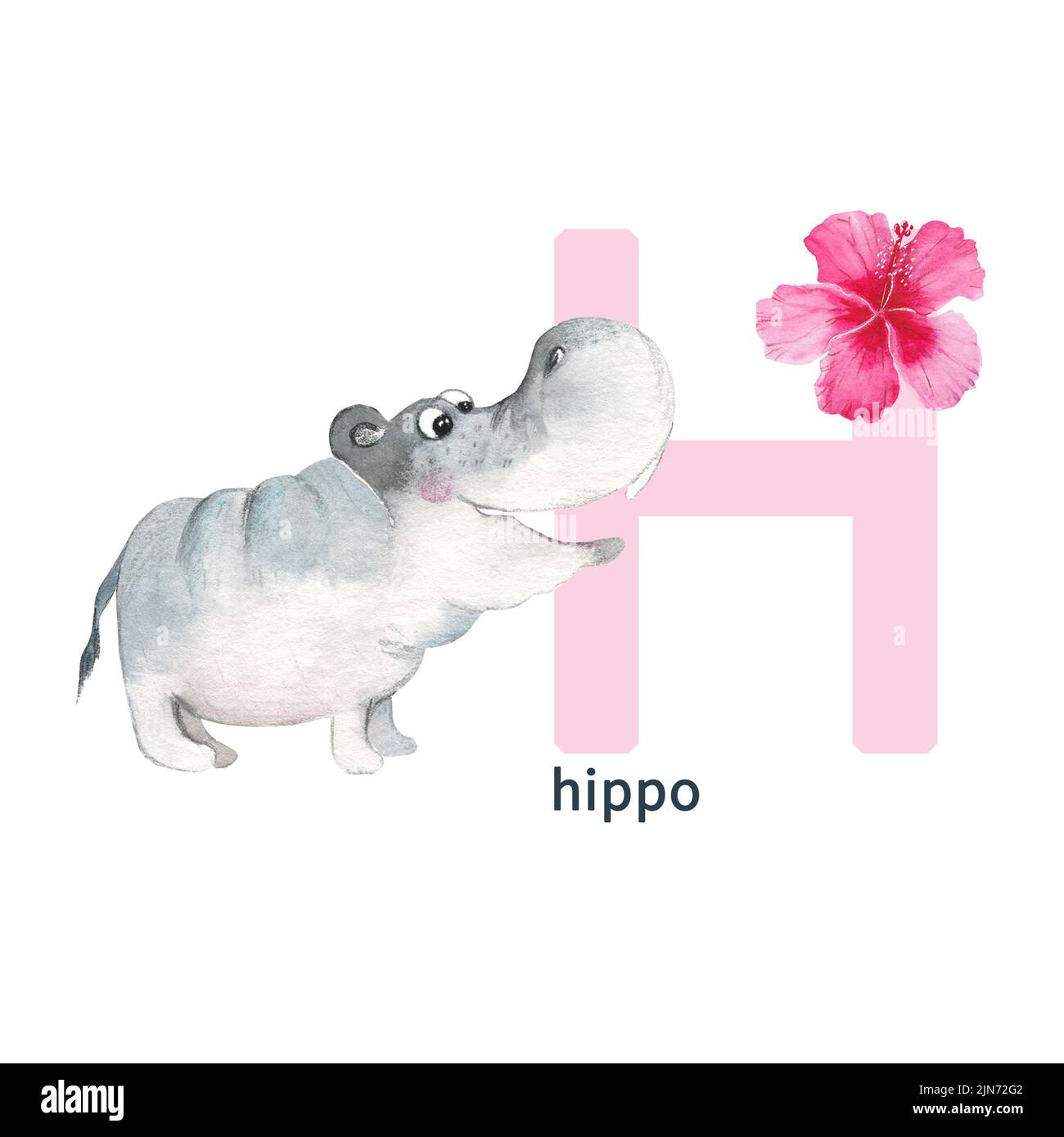 Animal alphabet h hi-res stock photography and images - Alamy