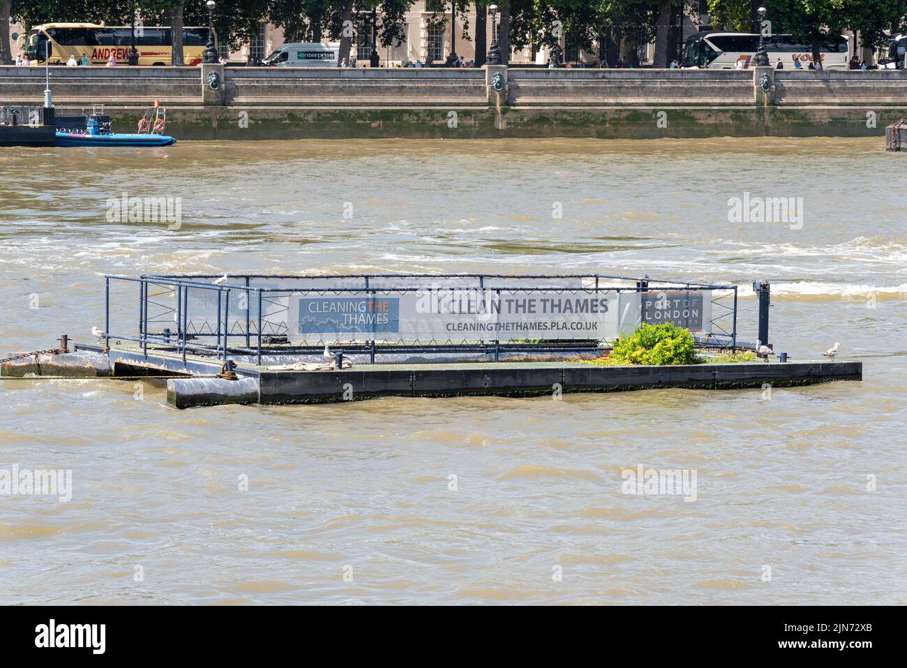 Passive driftwood collector. Floating rubbish collection collecting cage on the River Thames. Clean the Thames. Cleaning the Thames system Stock Photo