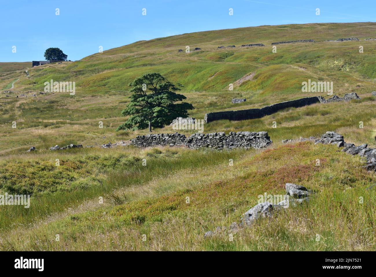 Haworth, walk to Top Withins, Top Withens, Bronte Country, West Yorkshire Stock Photo