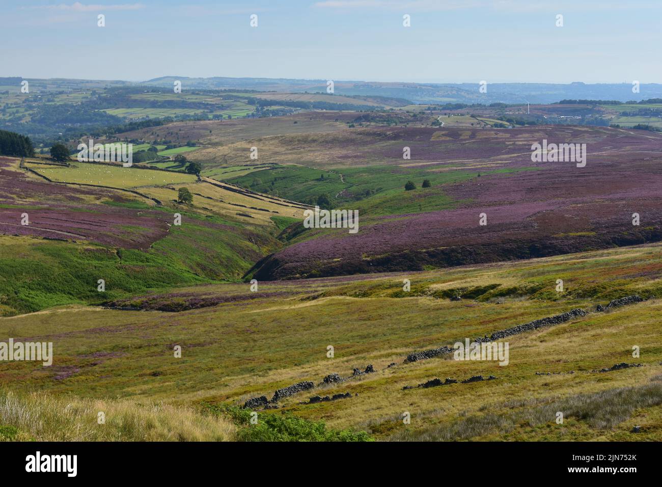 Beautiful View of Haworth moor,  seen from Top Wthens, Top Withins, in Summer sunshine, West Yorkshire Stock Photo