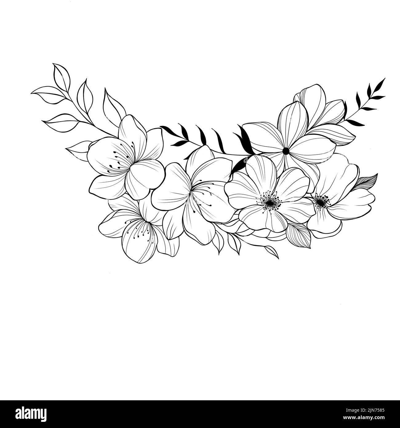Flowers Periwinkle. Hand drawing. Outline. On a white background. Beautiful sketch of a tattoo - a delicate twig with flowers. botany design element Stock Photo