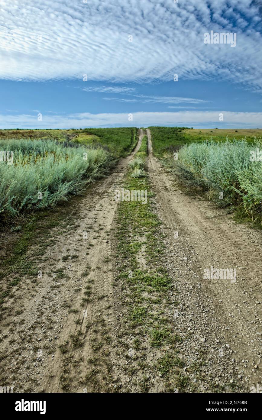A small dirt road leads into the prairie setting in north Idaho. Stock Photo
