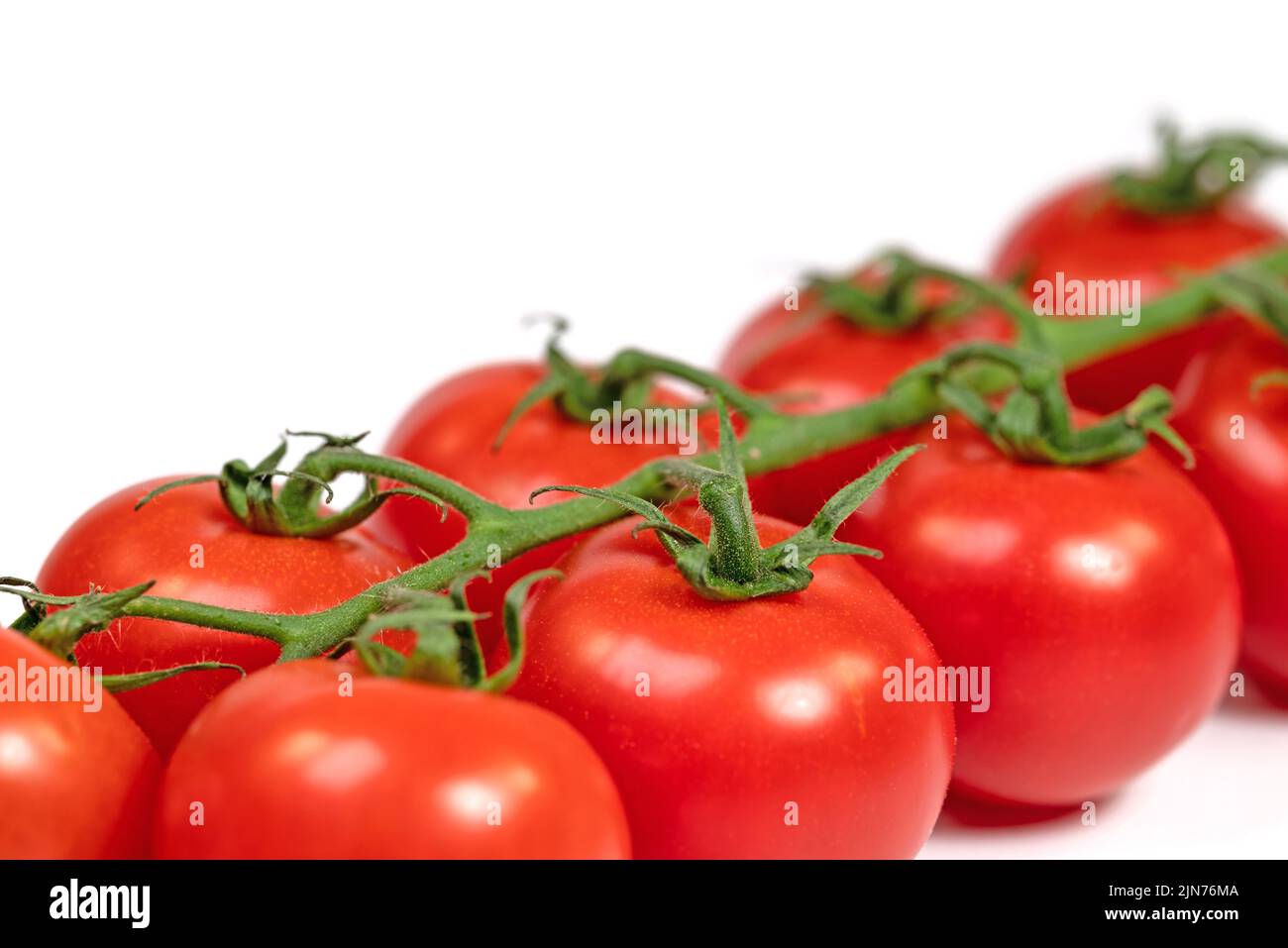 Vine tomatoes isolated against white background Stock Photo - Alamy