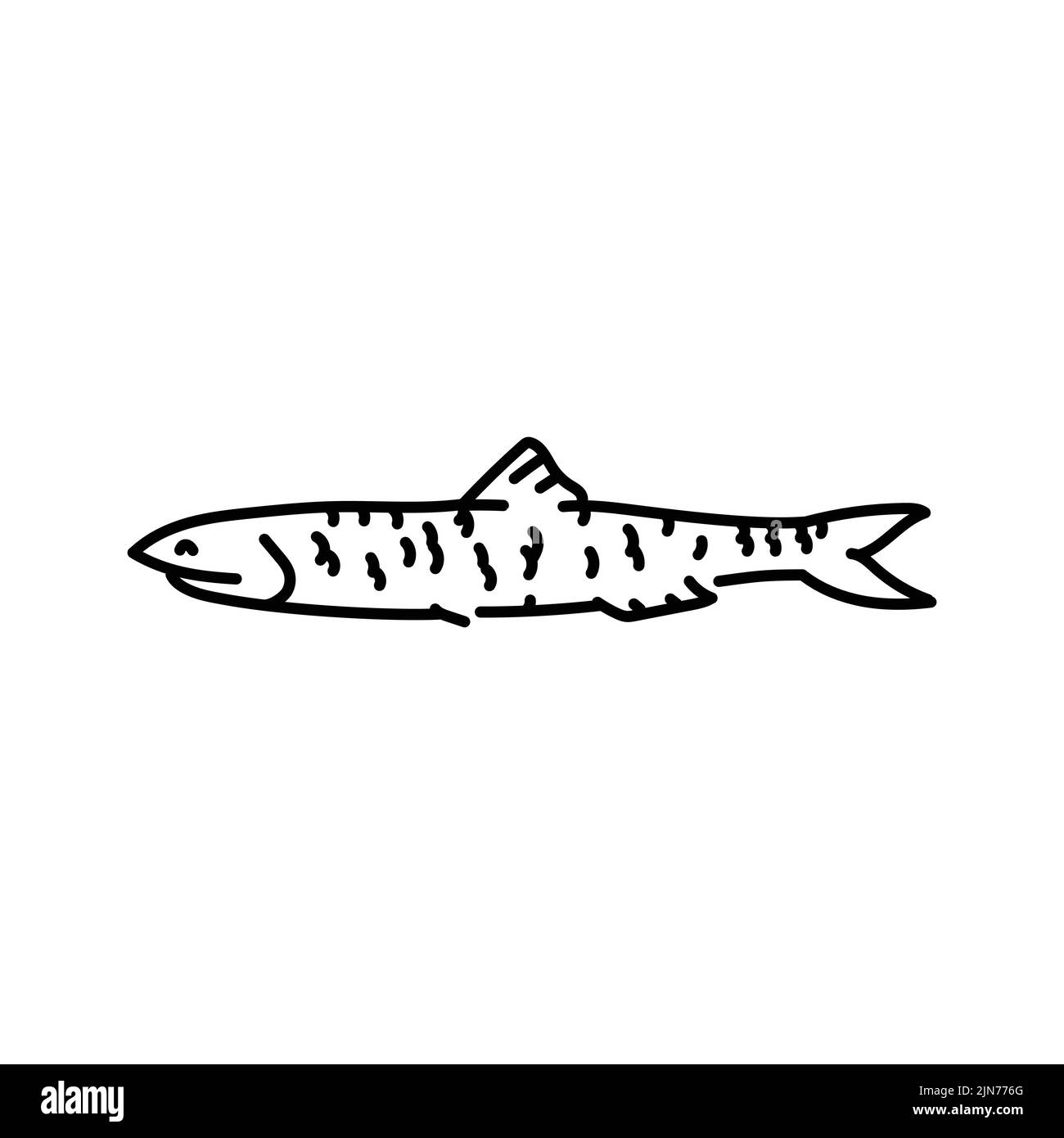 Anchovy color line illustration. Ocean fishes Stock Vector Image & Art
