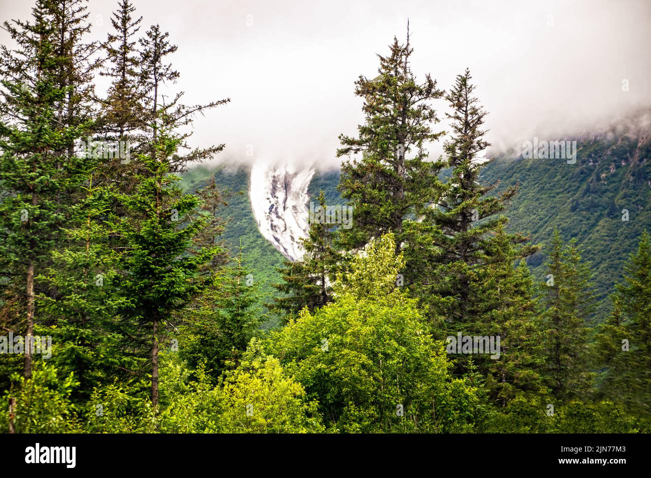 Distant view of Exit Glacier through treetops with top of mountain obscured by fog and smoke near Seward Alaska Stock Photo