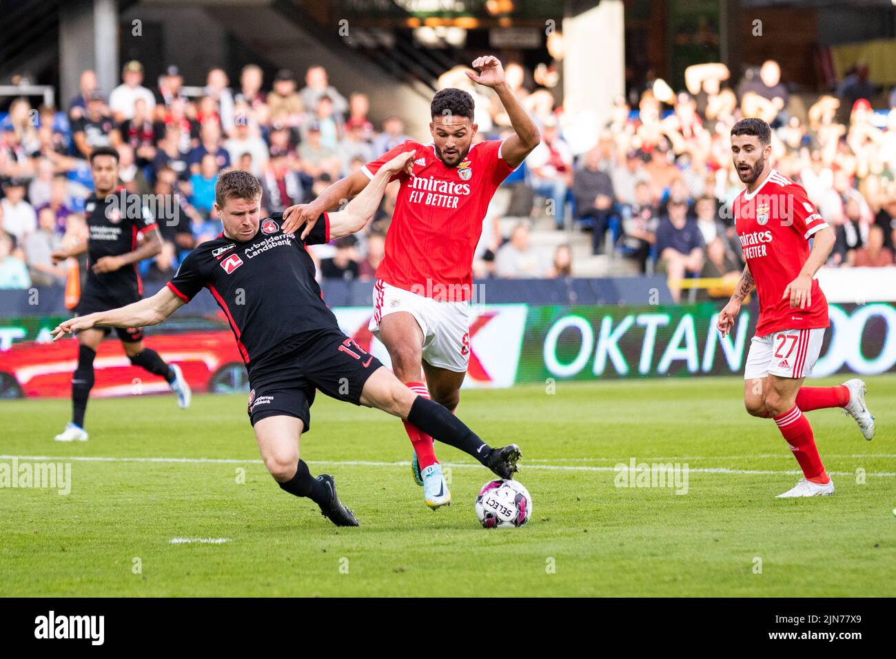 Jogo em Direto Benfica Midtjylland Champions - SL Benfica