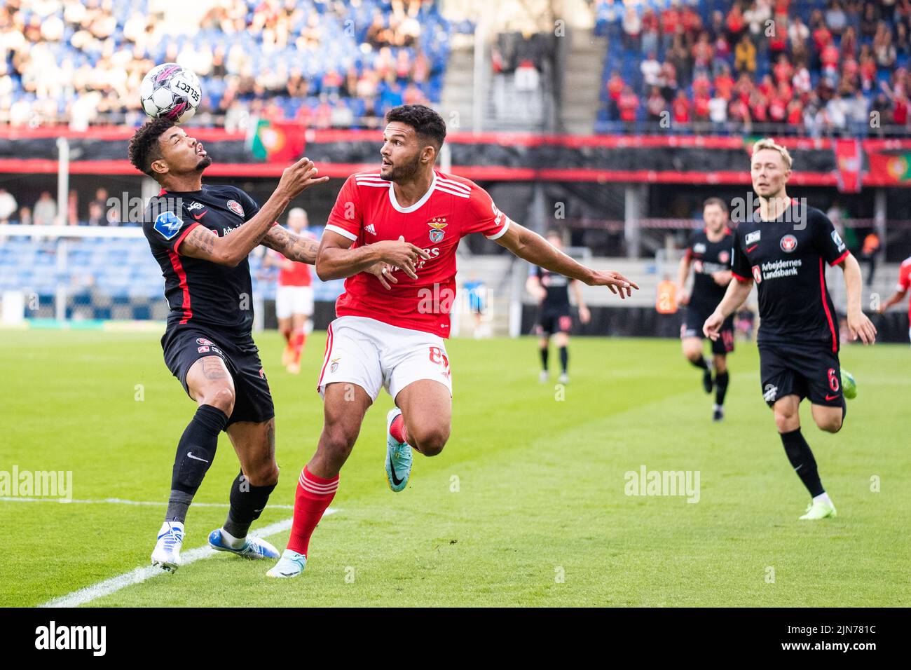 Jogo em Direto Benfica Midtjylland Champions - SL Benfica