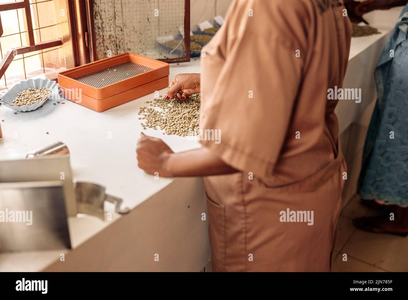 Woman sorting coffee beans by size at the factory Stock Photo Alamy