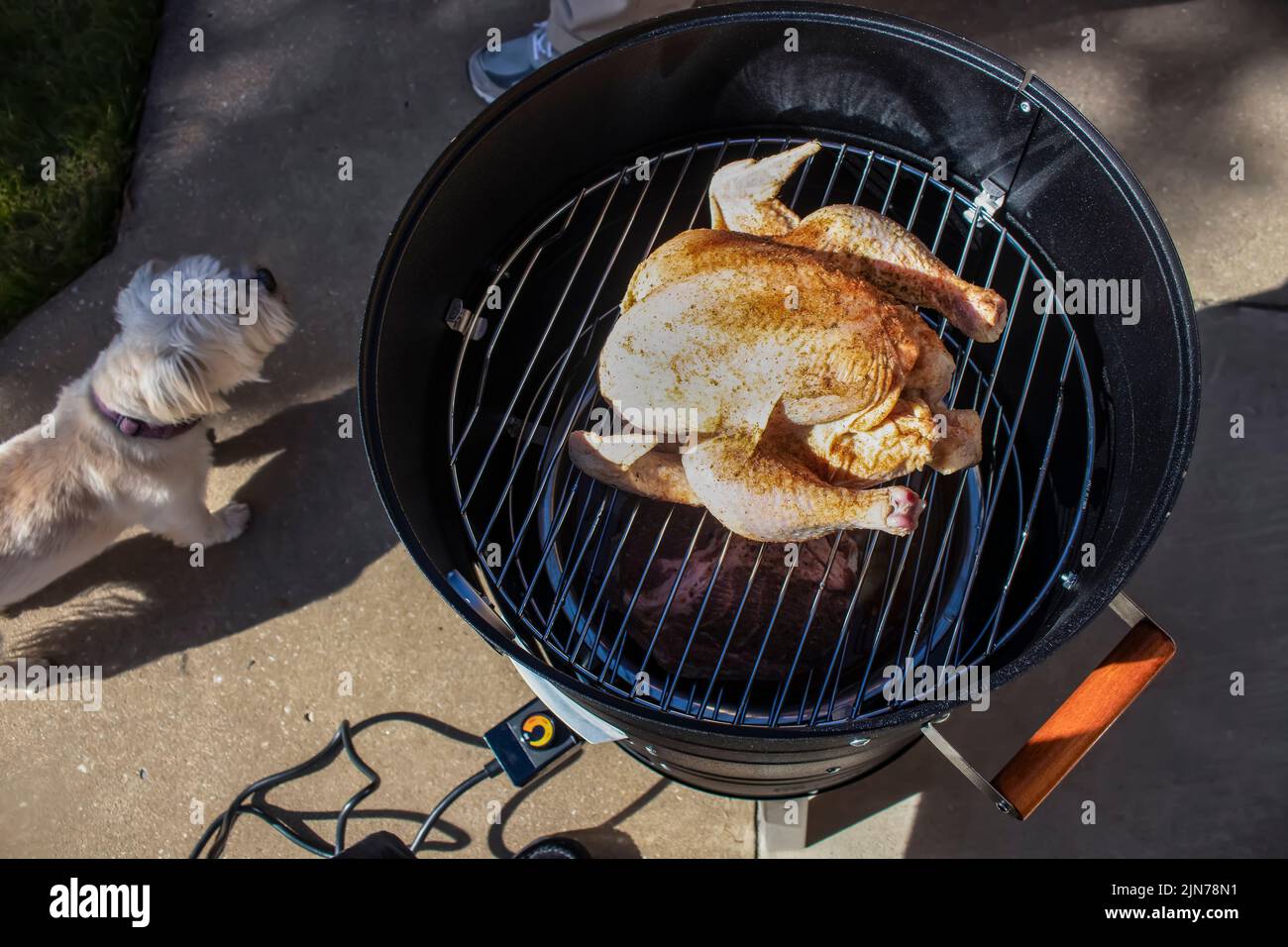 Smoking meat outside - a whole raw chicken with spices sits on the top rack of an open barrel electric smoker with a slab of meat underneath while a l Stock Photo