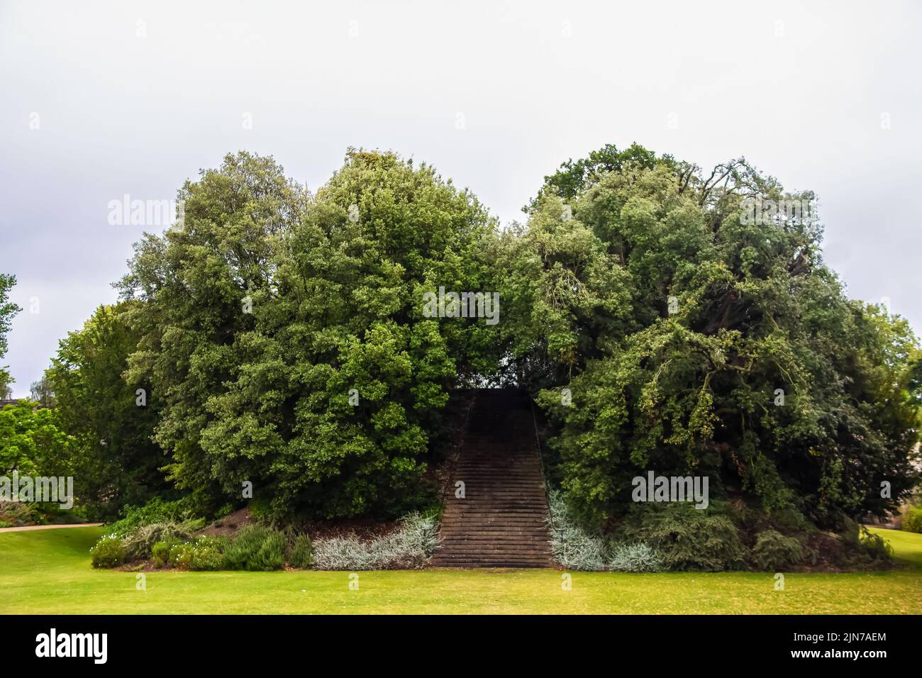 Stairway to heaven or nowhere - Old folly in England - mound covered with trees and stairs to top in beautiful green lawn Stock Photo