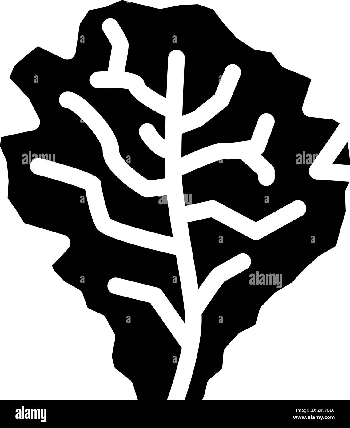 lettuce salad glyph icon vector illustration Stock Vector Image & Art ...