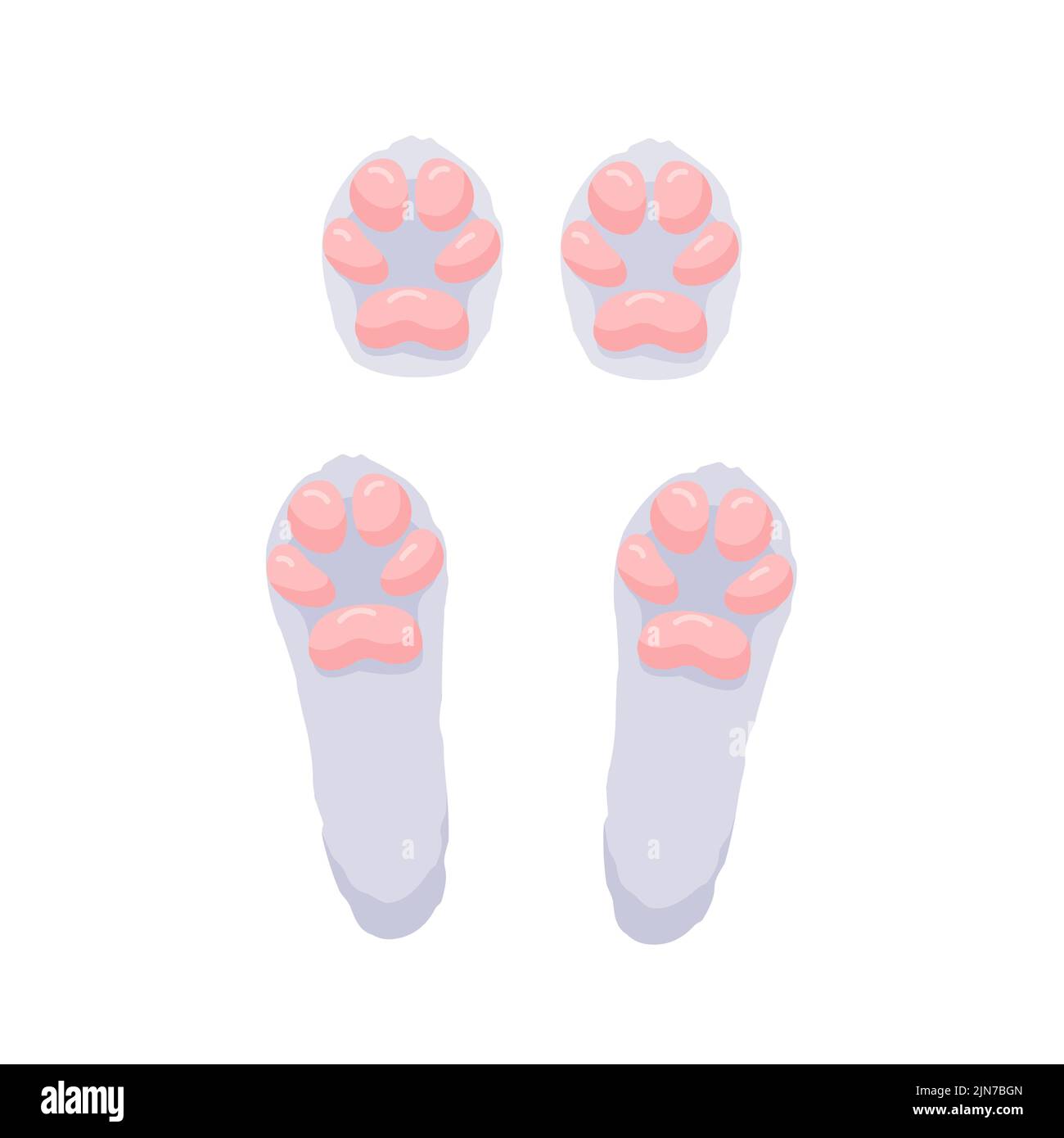Hare paws concept. Cute and lovely rabbit feet. Isolated illustration ...