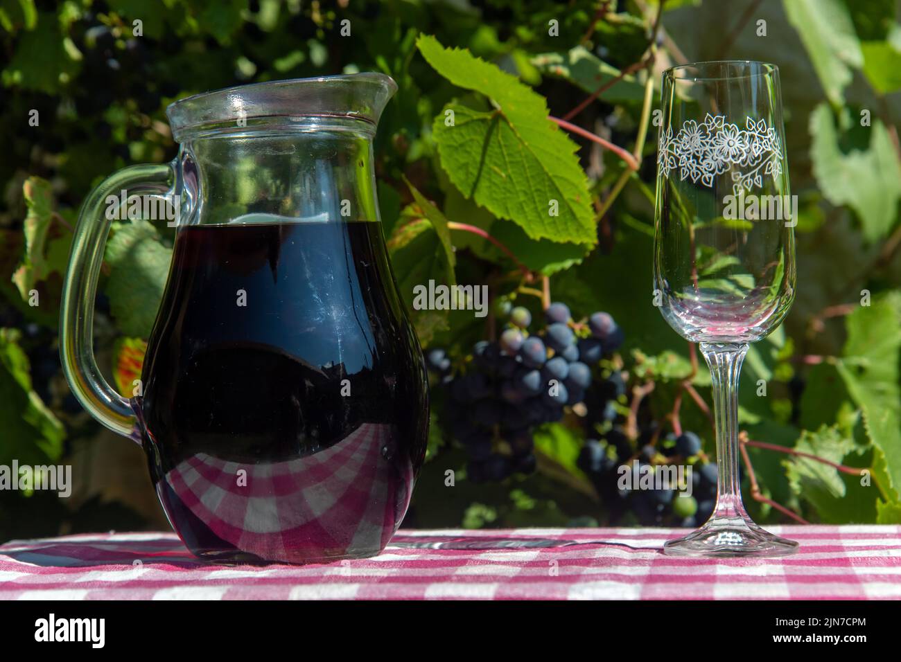Wine in a carafe with ripe grapes of a vineyard on background. Stock Photo