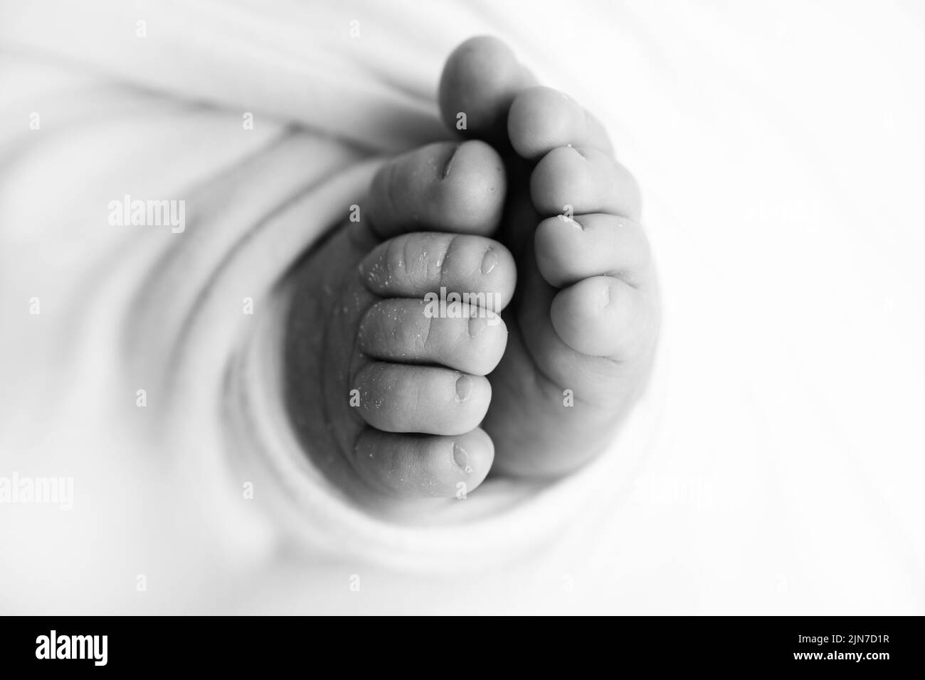 Soft feet of a newborn in a blanket Close-up of toes, heels and feet of a baby. The tiny foot of a newborn.  Stock Photo
