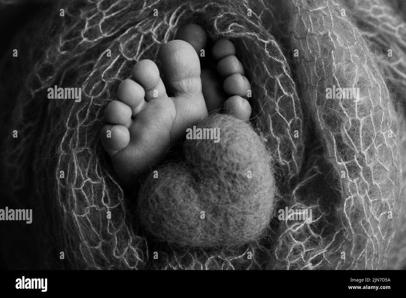 The tiny foot of a newborn baby. Soft feet of a new born in a wool blanket Stock Photo Alamy