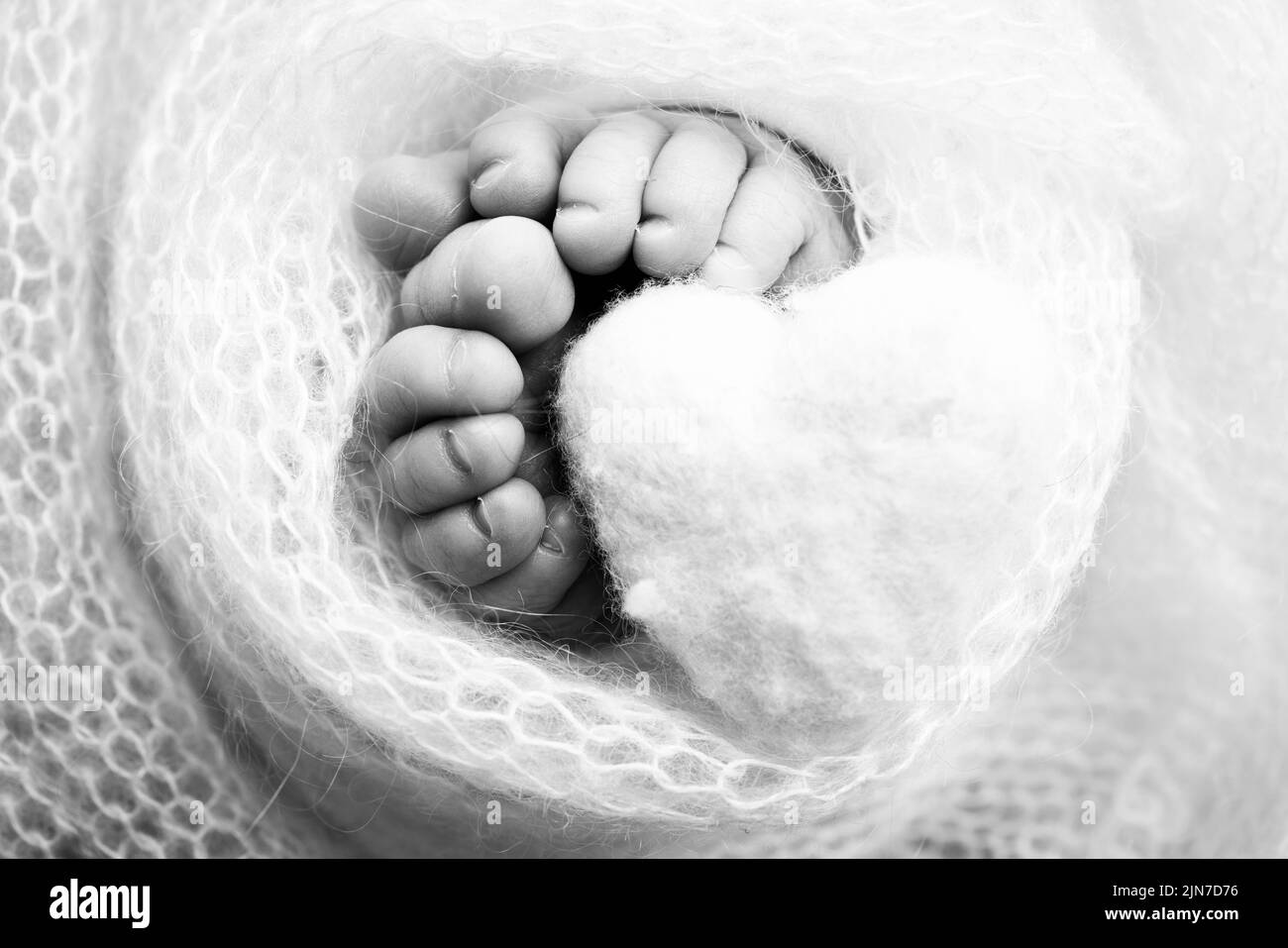 The tiny foot of a newborn baby. Soft feet of a new born in a wool blanket. Stock Photo
