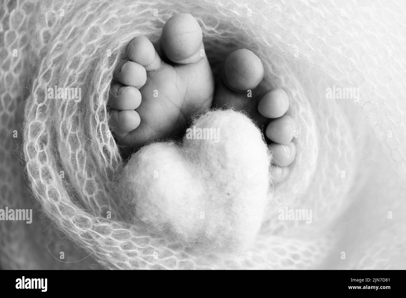 The tiny foot of a newborn baby. Soft feet of a new born in a wool blanket.  Stock Photo
