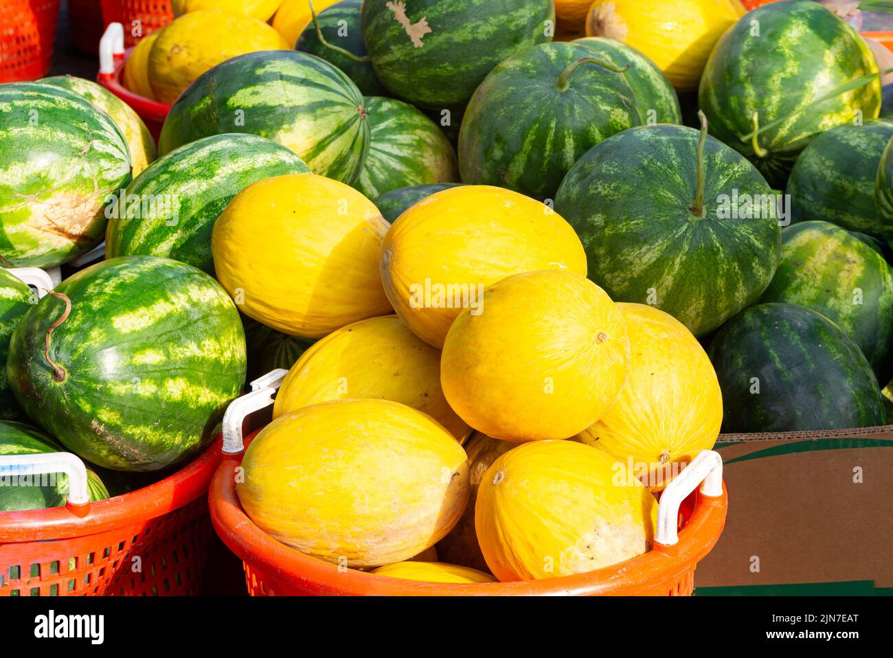 Fresh ripe canary melons and watermelons for sale at a local outdoor