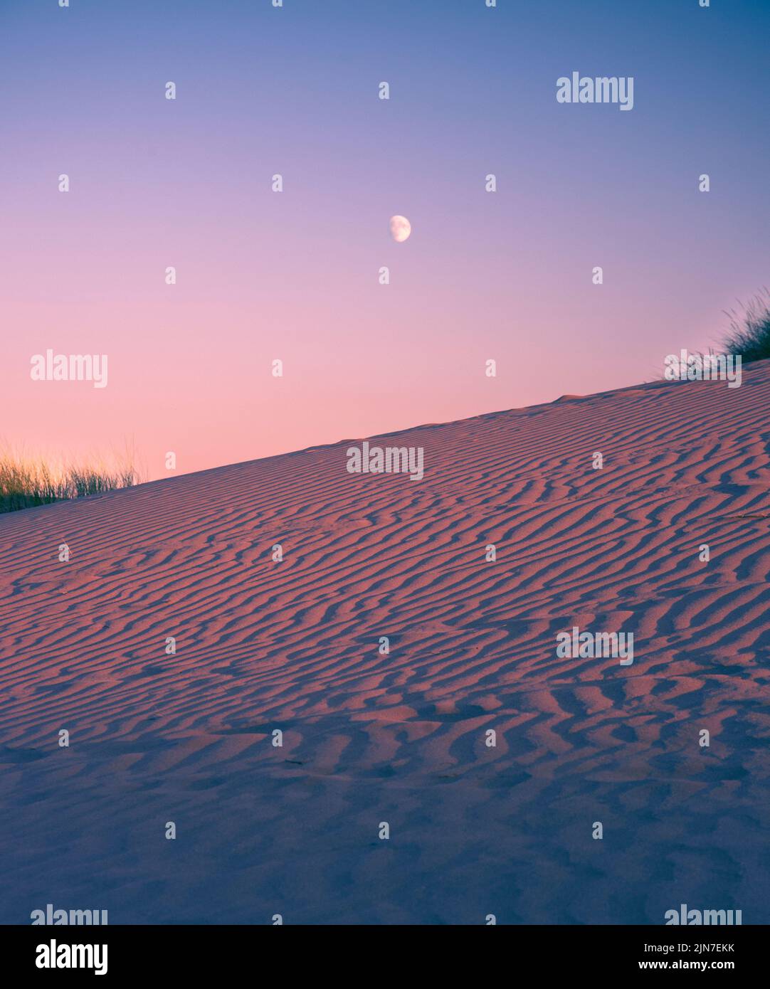 Sand Dunes in a Summer Evening- Braunton Burrows North Devon, UK, Large