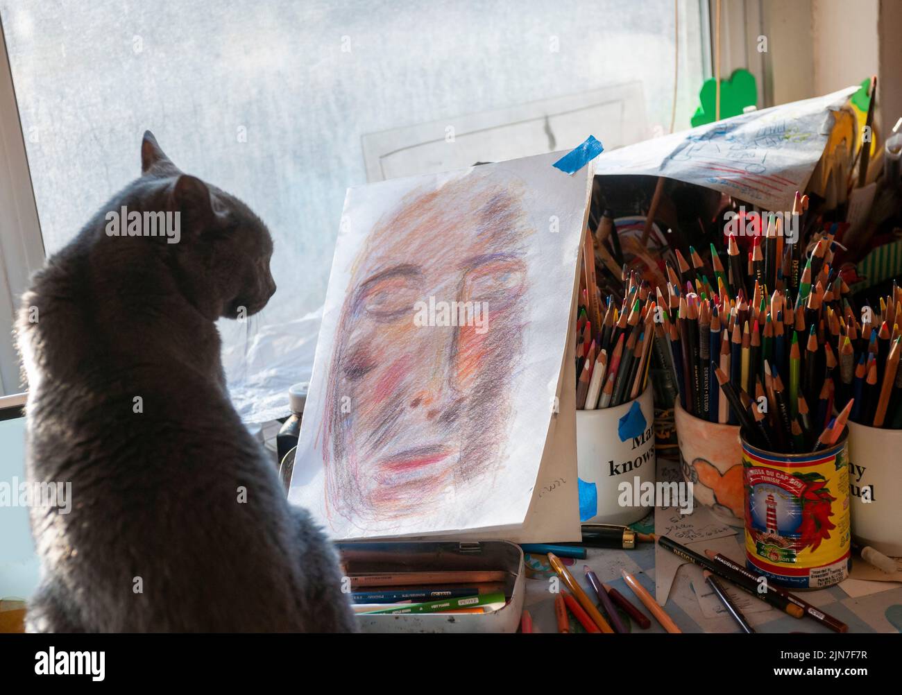 Feline art critic in New York on Tuesday, August 2, 2022. (© Richard B. Levine) Stock Photo