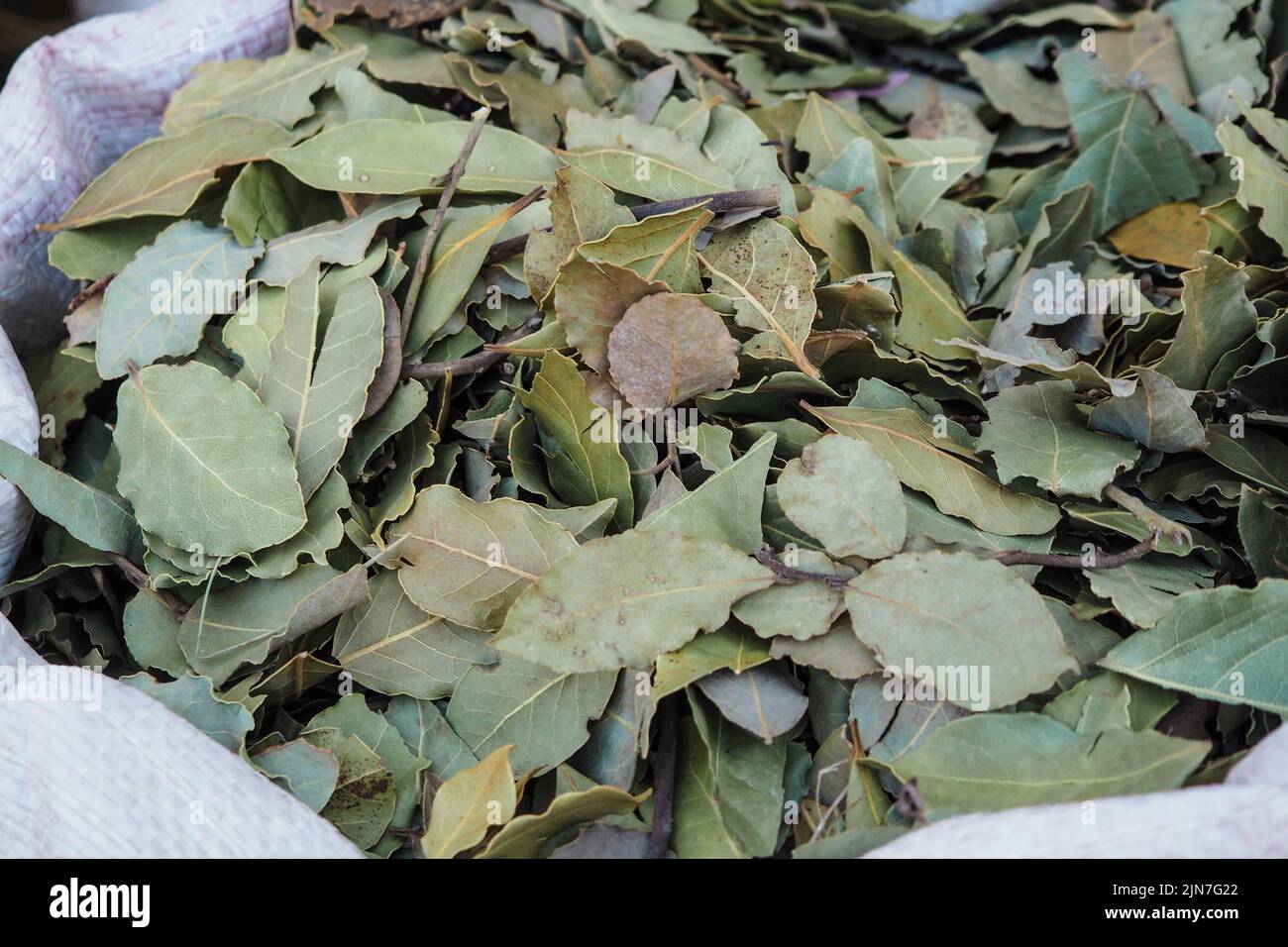 Greek Wild Dried Bay Leaves – Hand Picked – 950g (33 Oz) – Harvest May 2025 – AgoraMarket