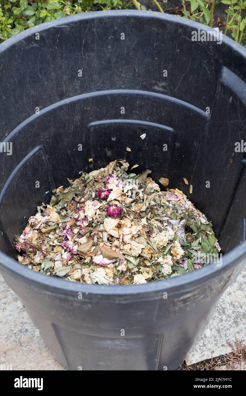 Flower garden waste in a bin. Stock Photo