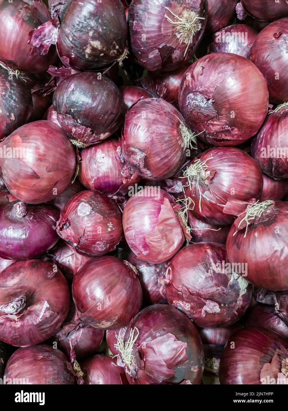 Red onions in a grocery store in New York seen on Friday, August 5