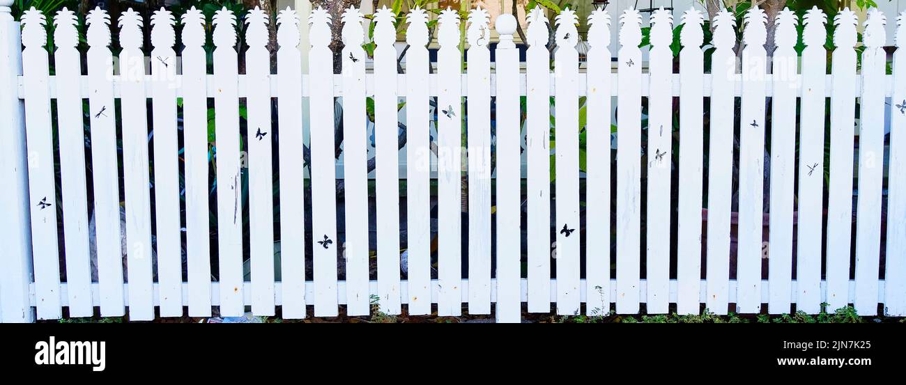 White picket fence in Key West, Florida, FL, USA.  With pineapple and butterfly cut outs Stock Photo