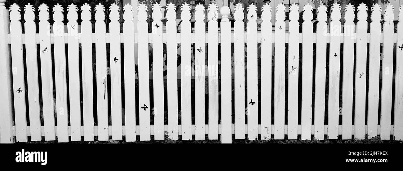 White picket fence in Key West, Florida, FL, USA.  With pineapple and butterfly cut outs Stock Photo