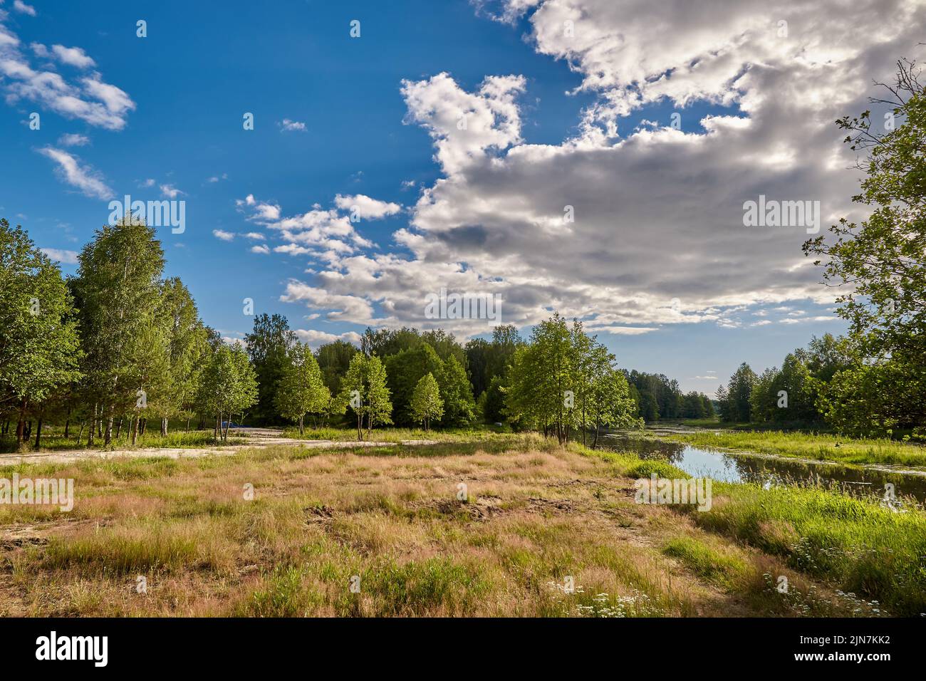 Beautiful summer or spring panoramic rural landscape with blue sky and ...