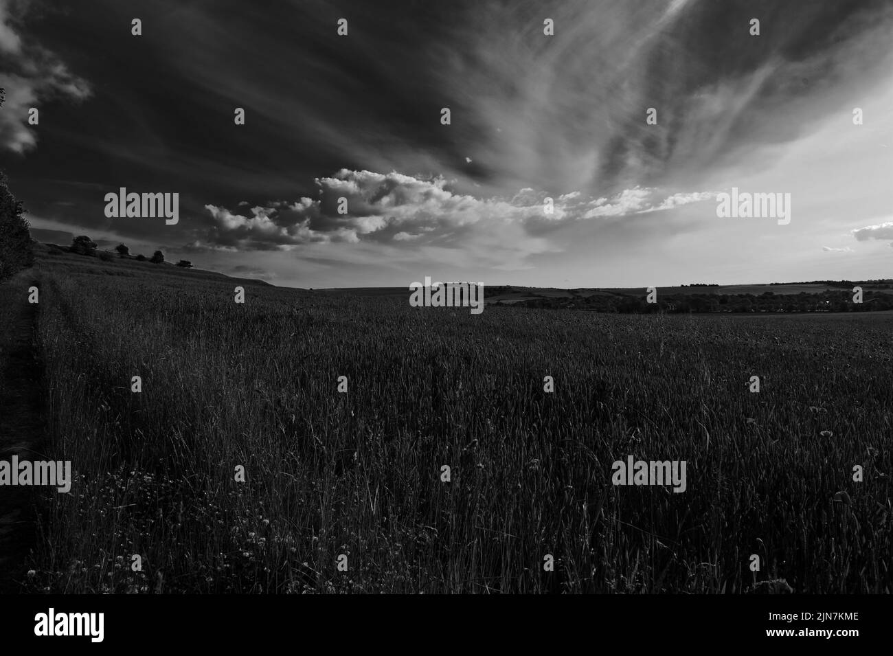 Black and White Oxfordshire Landscape Stock Photo
